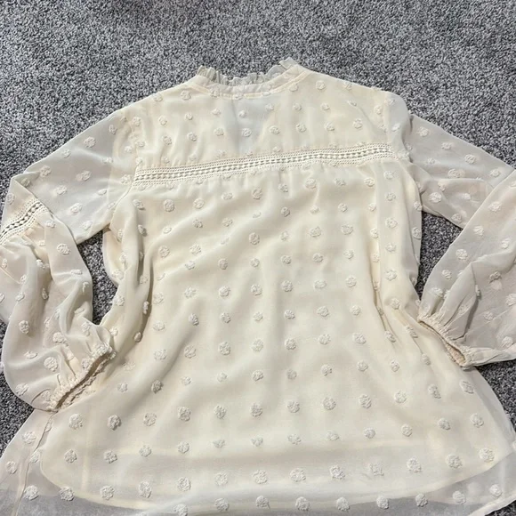 Like New Elegant Cream Swiss Dot Blouse with Lace Detailing - Picture 10 of 11